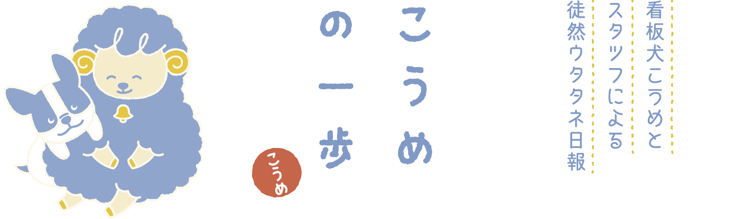 こうめの一歩